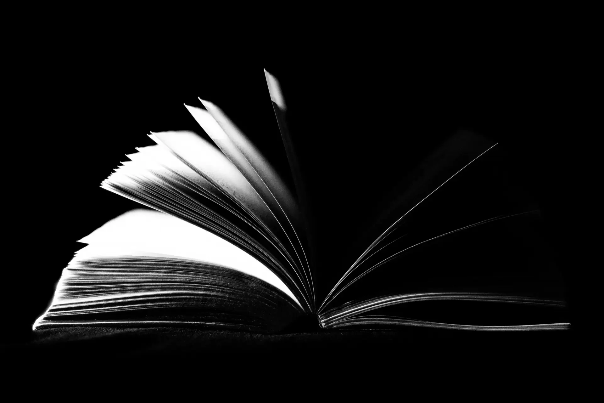 Buch