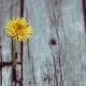Resilienz im Marketing: Ein Schlüssel zum nachhaltigen Erfolg?!
